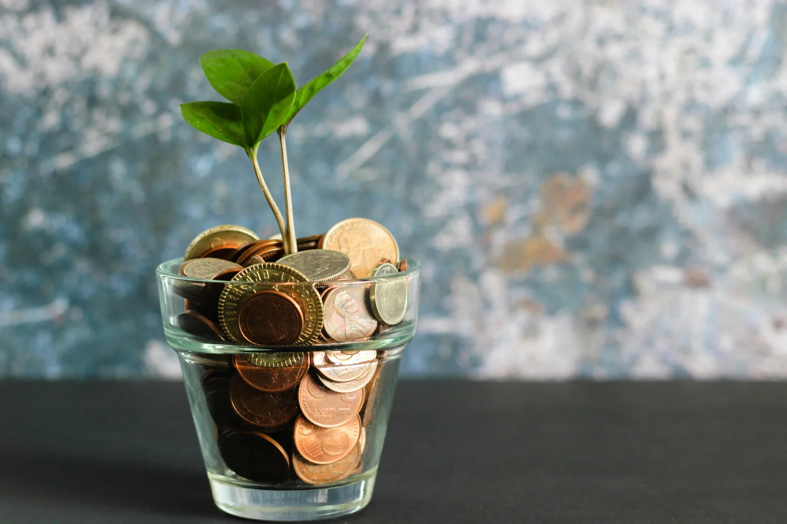 Seedling growing from a pile of coins